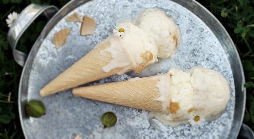 lody agrestowe