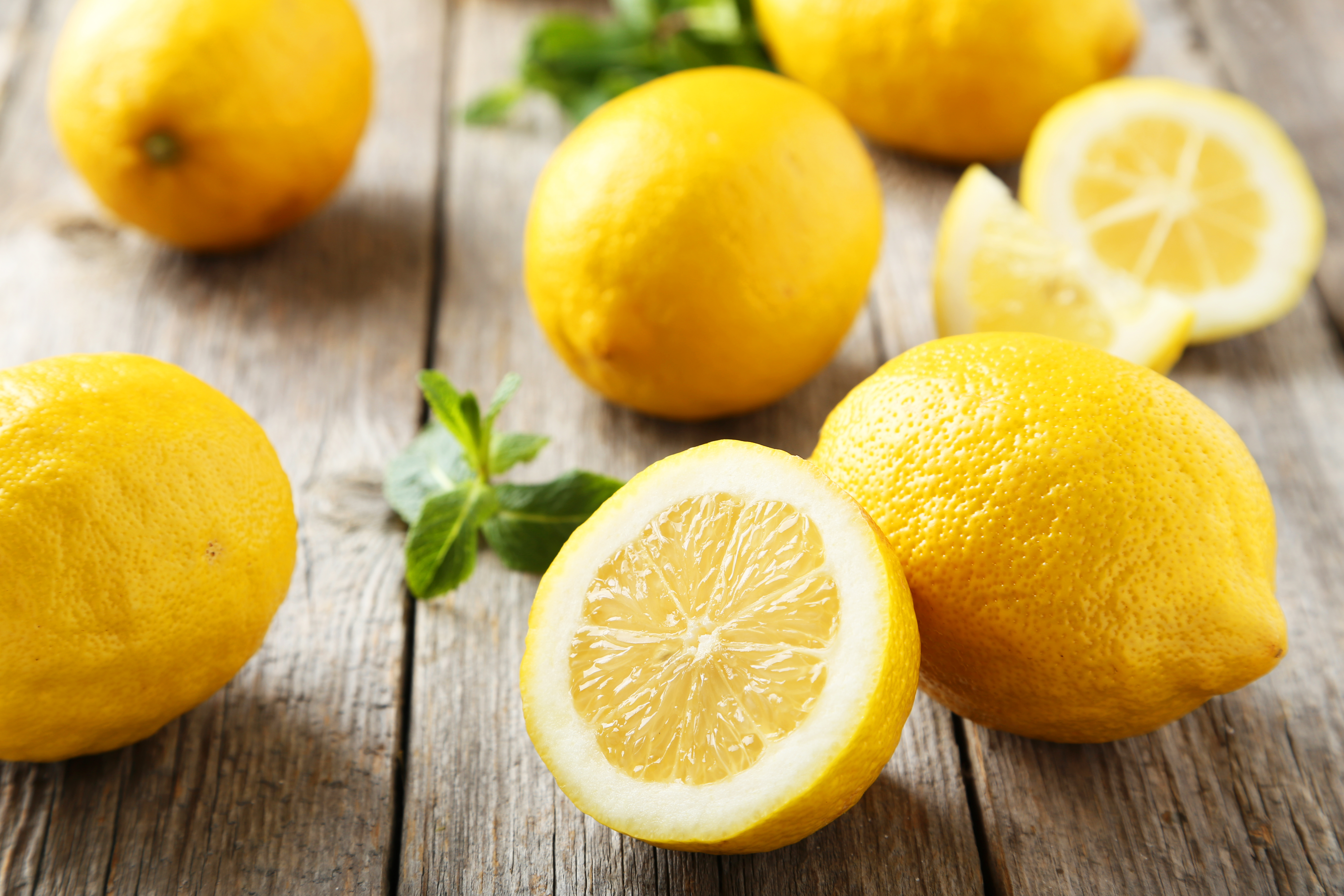 Свежесть лимона. Хари Лемон. Чой лимонн. Lemon Citrus Limon Италия. Лимон порезанный.