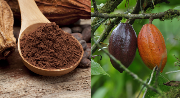 Superfoods - żywność nadzwyczajna!