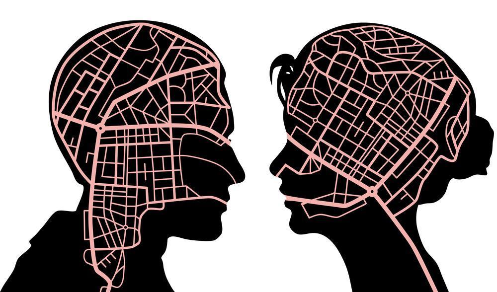 Kobiecy mózg – jaki jest naprawdę? – zdjęcie numer 2 Kobiecy mózg – jaki jest naprawdę?