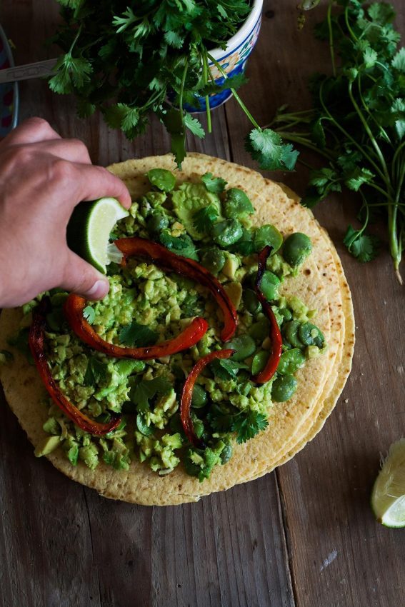 Tortilla z bobem i awokado