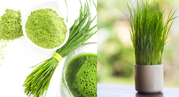 Superfoods - żywność nadzwyczajna!