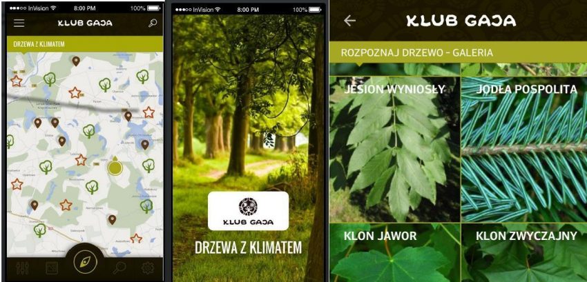 Drzewo w twoim telefonie