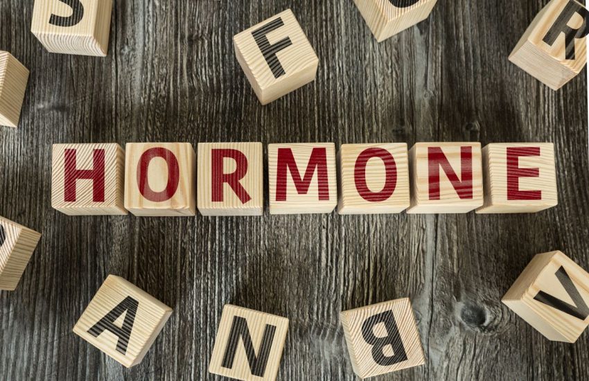 Z klocków ułożony jest napis hormone