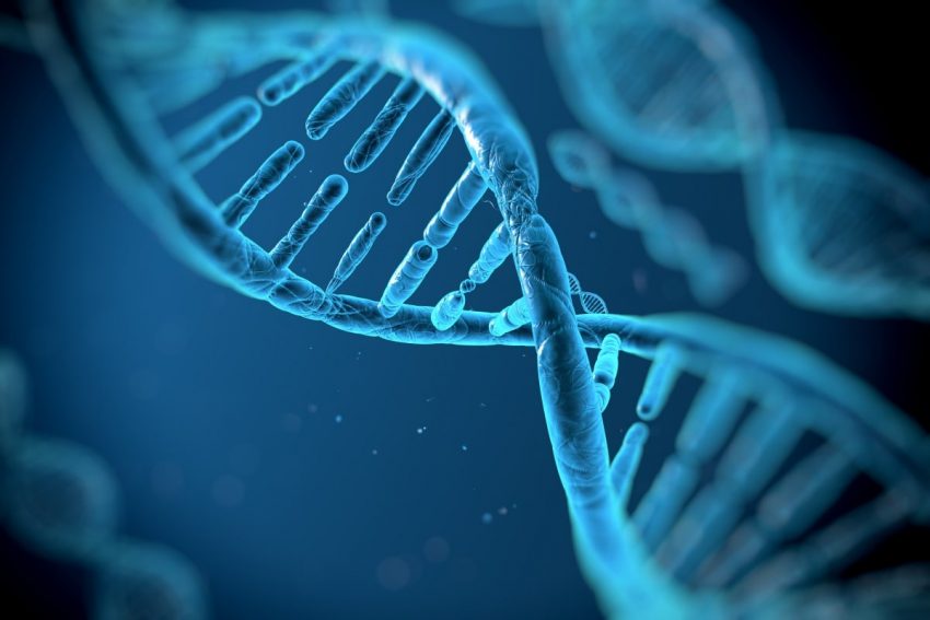 DNA w 3D