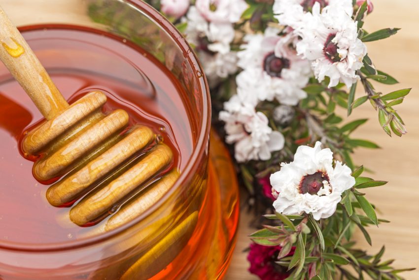 Miód manuka — właściwości, zastosowanie, spożywanie