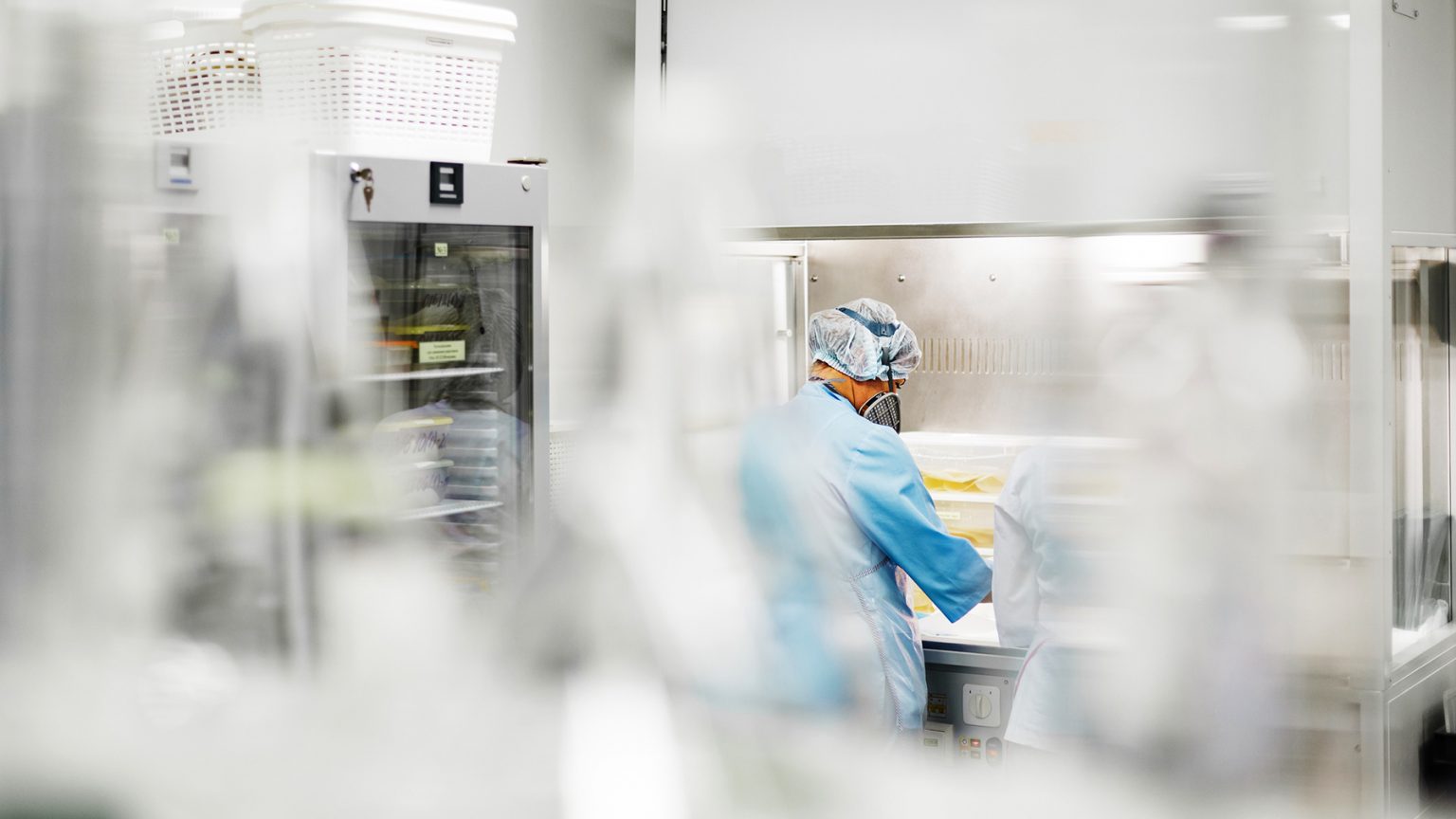 Pasożyty ludzkie (owsiki, tasiemce, glista, lamblia) - objawy ...