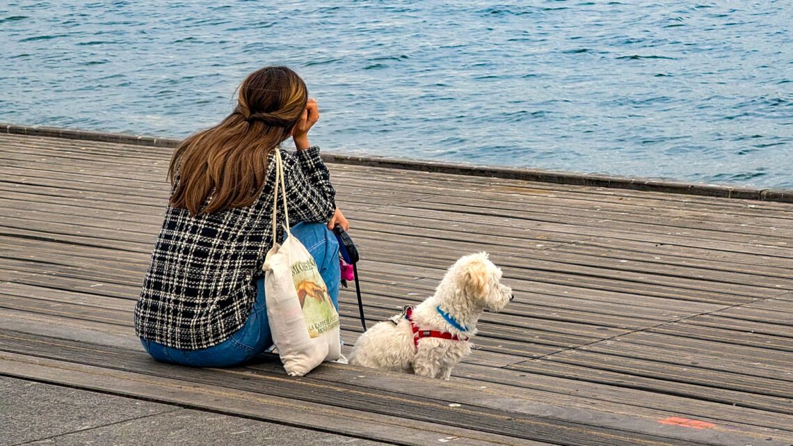 zmęczona kobieta z małym pieskiem siedzi na bulwarze nad brzegiem rzeki - Hello Zdrowie