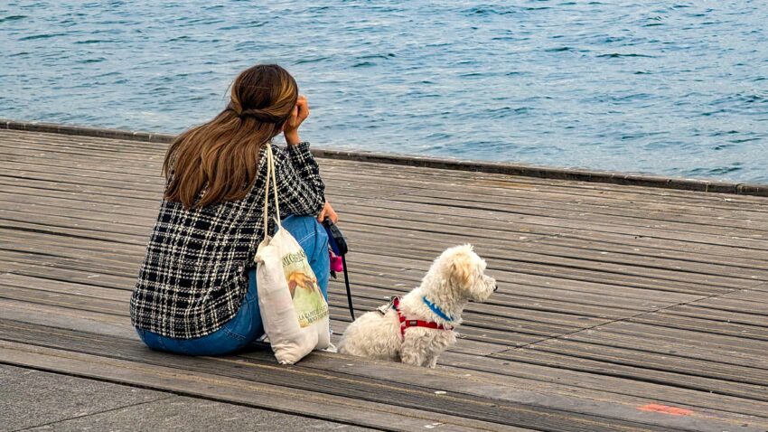 zmęczona kobieta z małym pieskiem siedzi na bulwarze nad brzegiem rzeki - Hello Zdrowie