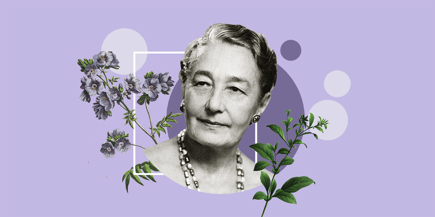 Helena Sparrow / grafika: Joanna Zduniak