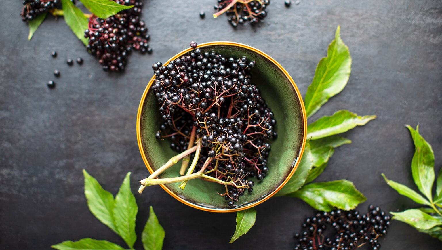 Śledziona - położenie, budowa, funkcje i choroby śledziony | HelloZdrowie