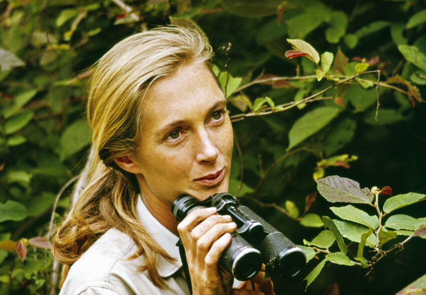 Jane Goodall - Hello Zdrowie