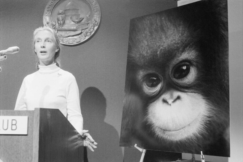 Jane Goodall - Hello Zdrowie