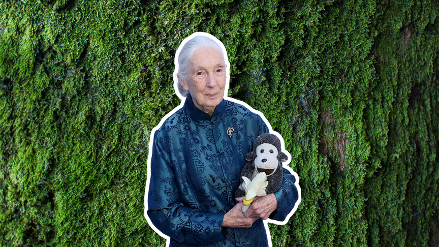 Jane Goodall - Hello Zdrowie