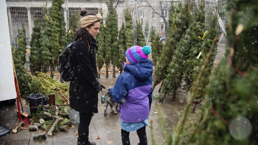 młoda kobieta i dziewczynka wybierają choinkę; tekst o macochach - Hello Zdrowie