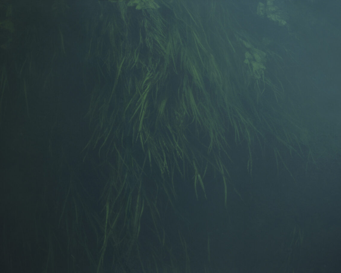 Biebrzański Park Narodowy / Fot. Olsza Grochowska