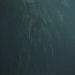 Biebrzański Park Narodowy / Fot. Olsza Grochowska