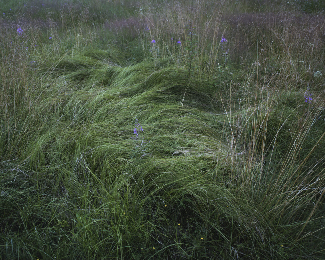 Bieszczadzki Park Narodowy / Fot. Olsza Grochowska
