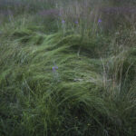 Bieszczadzki Park Narodowy / Fot. Olsza Grochowska