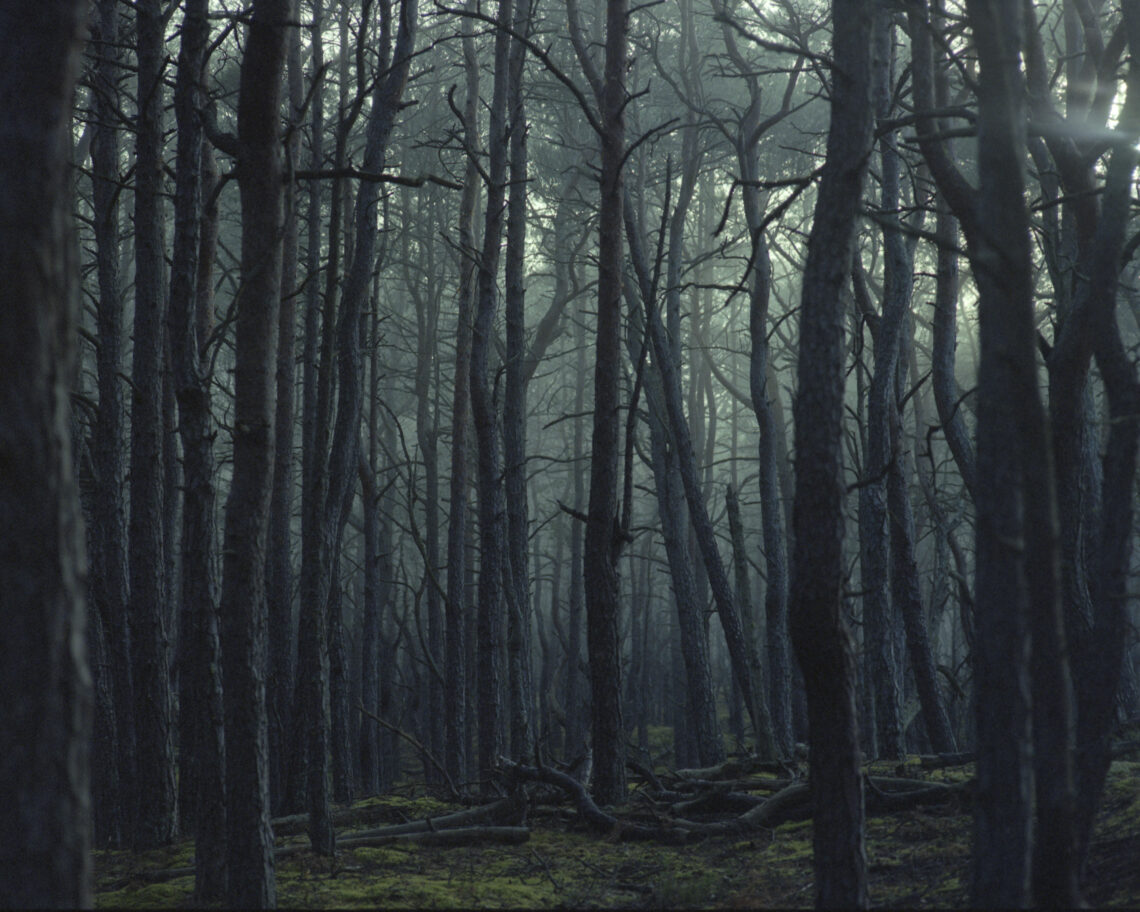Słowiński Park Narodowy / Fot. Olsza Grochowska