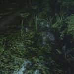 Wigierski Park Narodowy / Fot. Olsza Grochowska