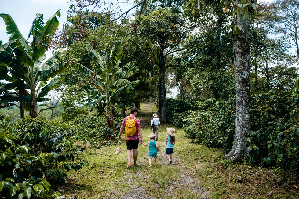 Kolumbia, 2019 - Hello Zdrowie