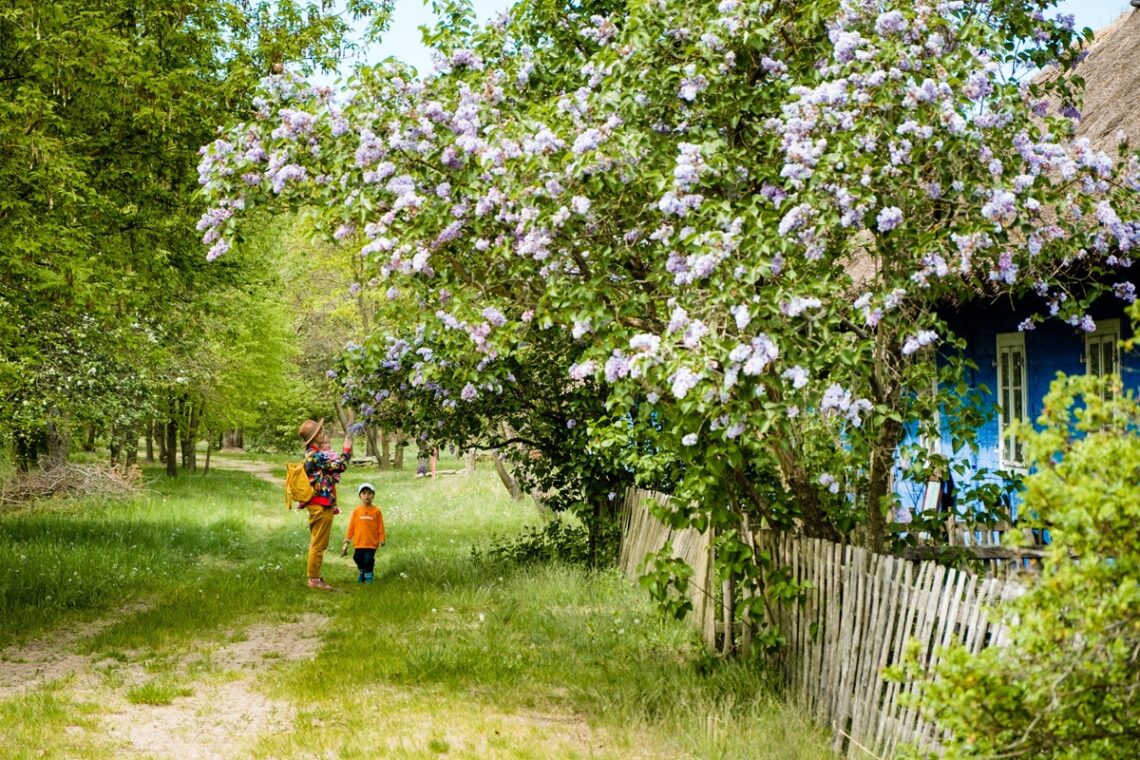 Łowicz, 2020 - Hello Zdrowie