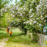 Łowicz, 2020 - Hello Zdrowie